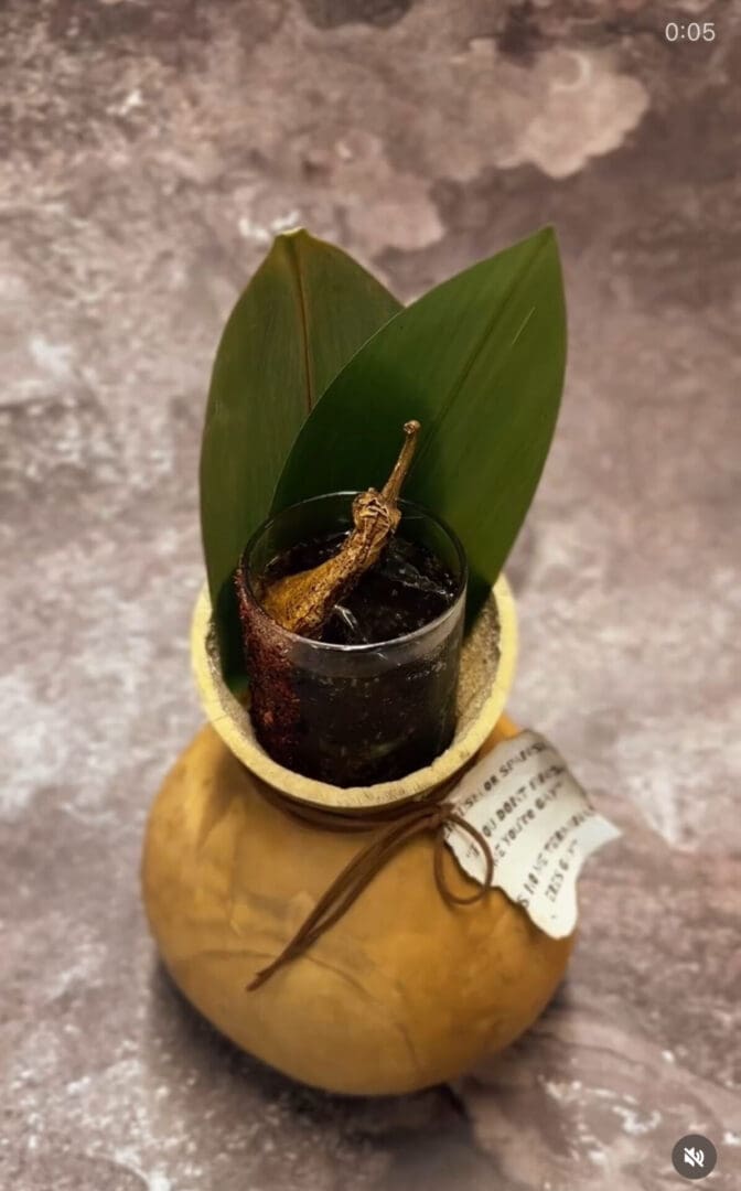 Dark drink with garnish in clay pot.